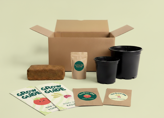 Gardening kit with cardboard box, pots, and grow guides on a beige background