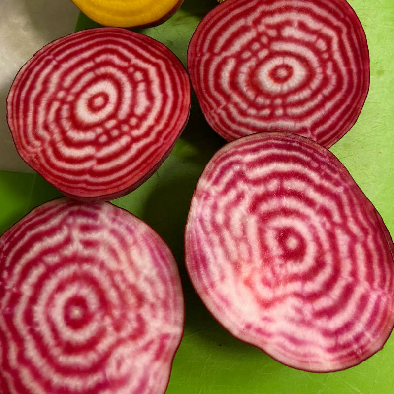 Close-up of sliced beets with concentric circle pattern on a green background